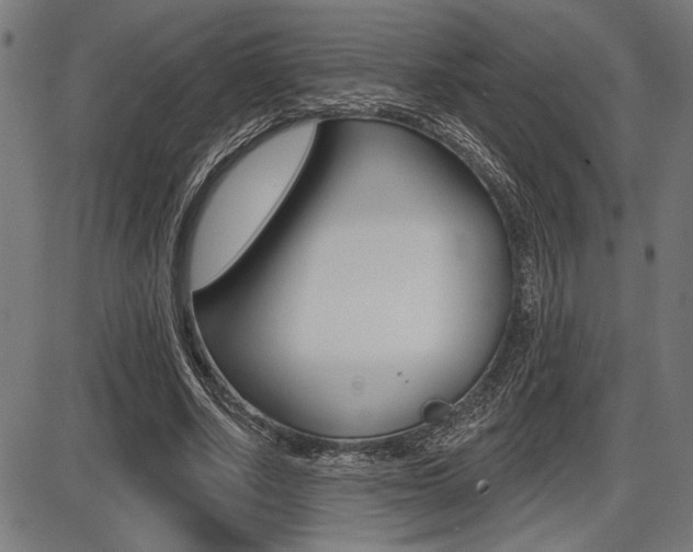 X0000087700634200705040852