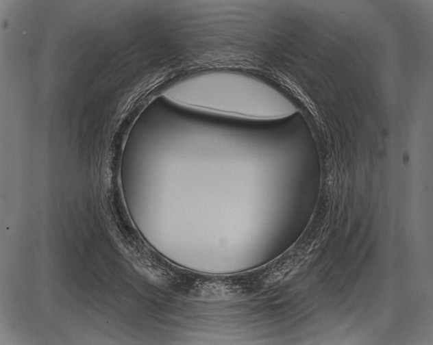 X0000087700635200705040852