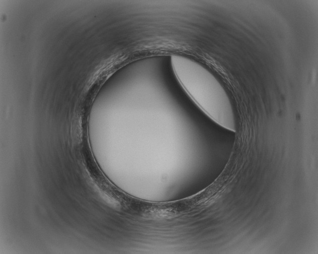 X0000087700638200705040852