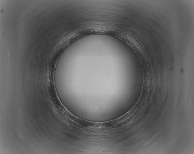 X0000087700639200705040852