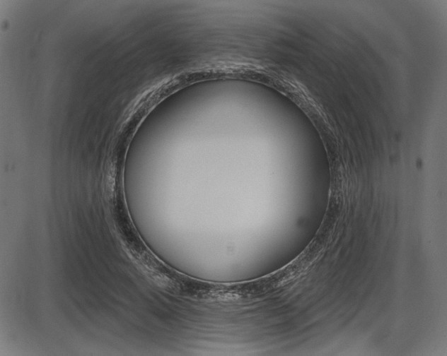 X0000087700640200705040852
