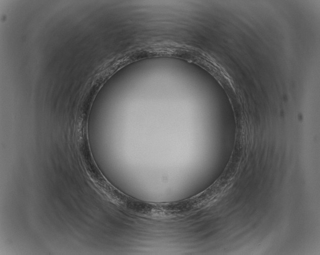 X0000087700641200705040852