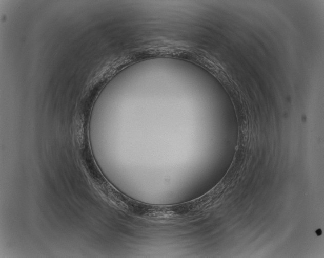 X0000087700642200705040852