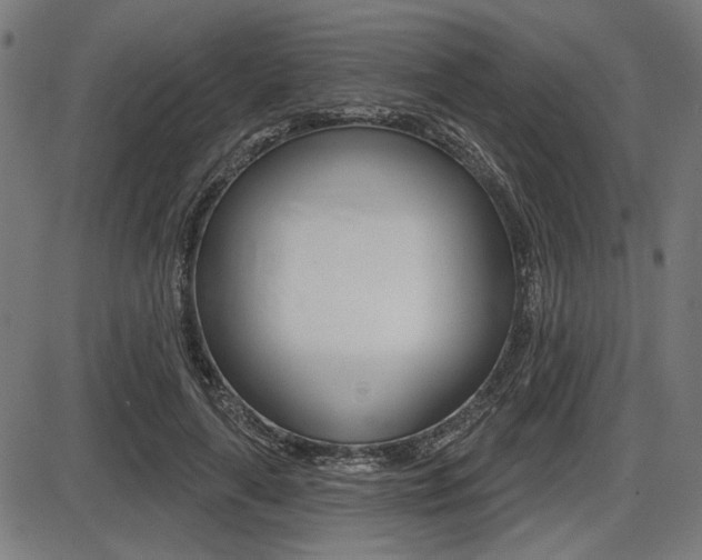 X0000087700643200705040852