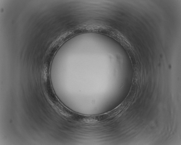 X0000087700644200705040852
