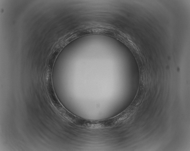 X0000087700645200705040852