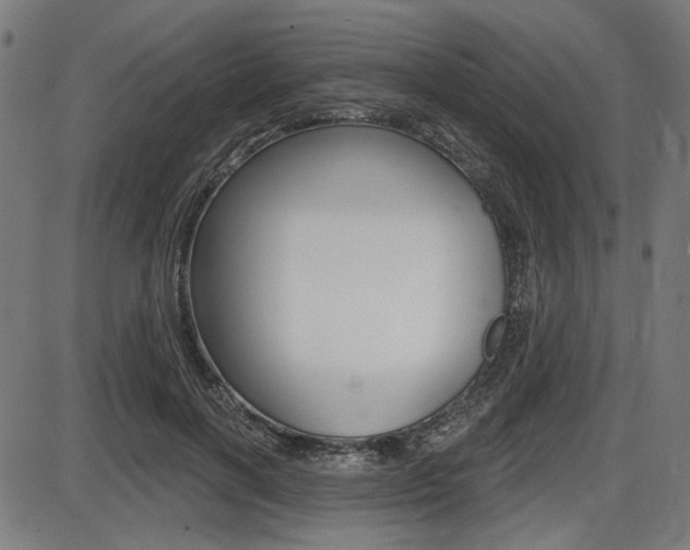X0000087700646200705040852