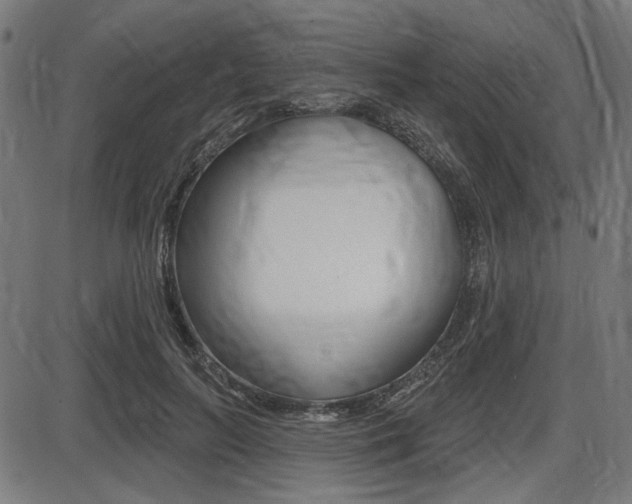 X0000087700647200705040852