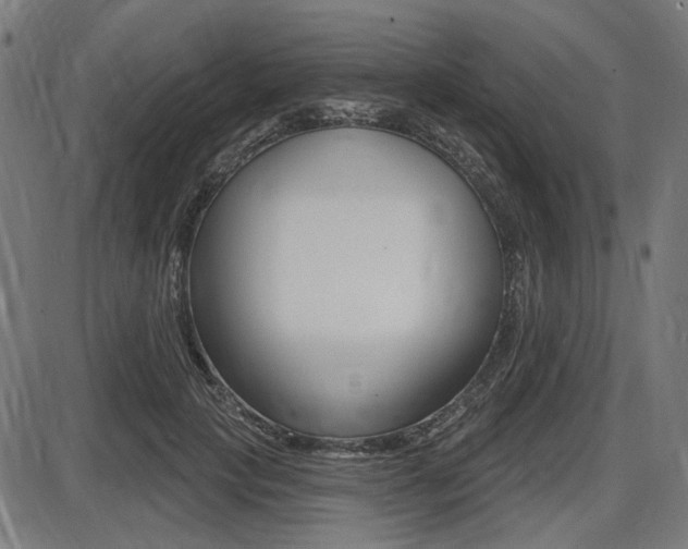 X0000087700649200705040852