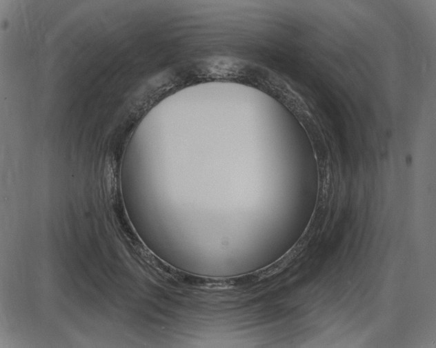X0000087700651200705040852
