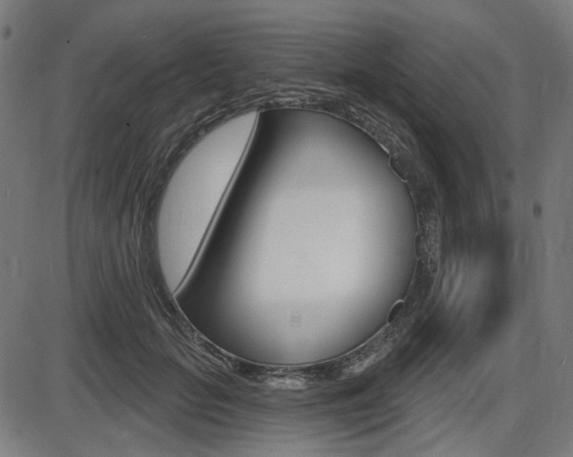 X0000087700653200705040852