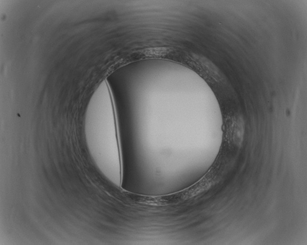 X0000087700655200705040852