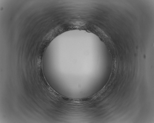 X0000087700657200705040852