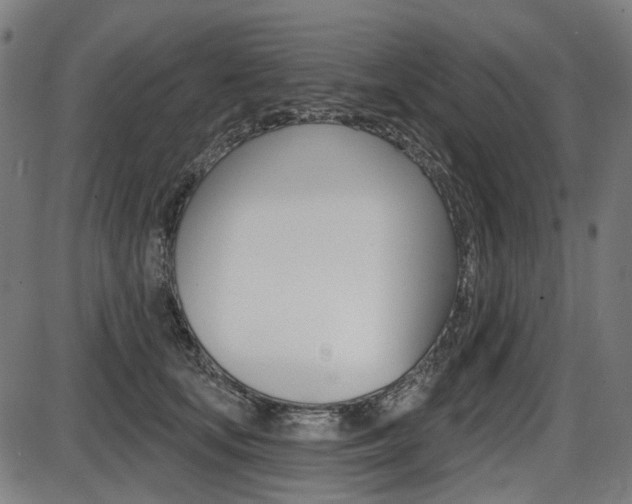 X0000087700659200705040852