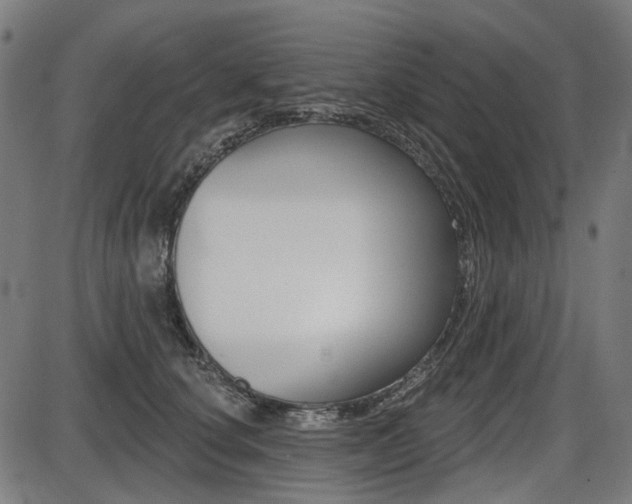X0000087700660200705040852
