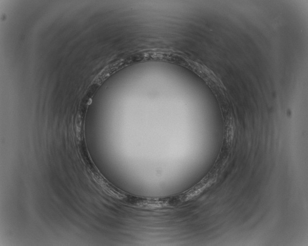 X0000087700661200705040852