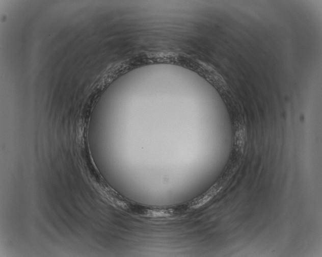 X0000087700662200705040852