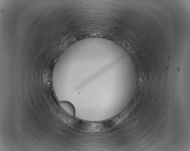 X0000087700663200705040852