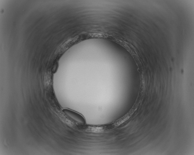 X0000087700665200705040852