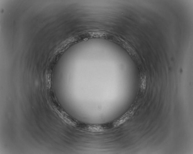 X0000087700666200705040852