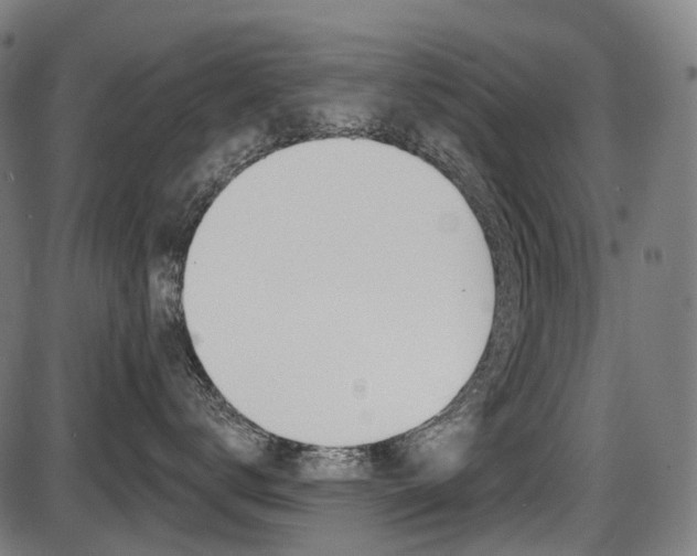 X0000087700672200705040853