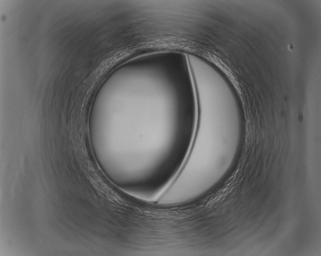 X0000087700673200705040852