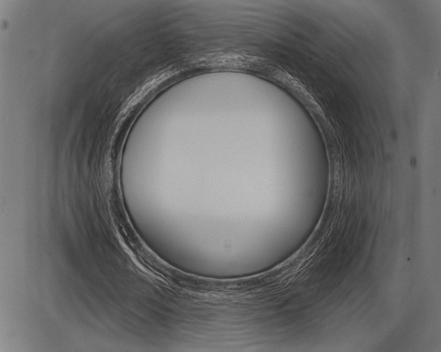 X0000087700674200705040852