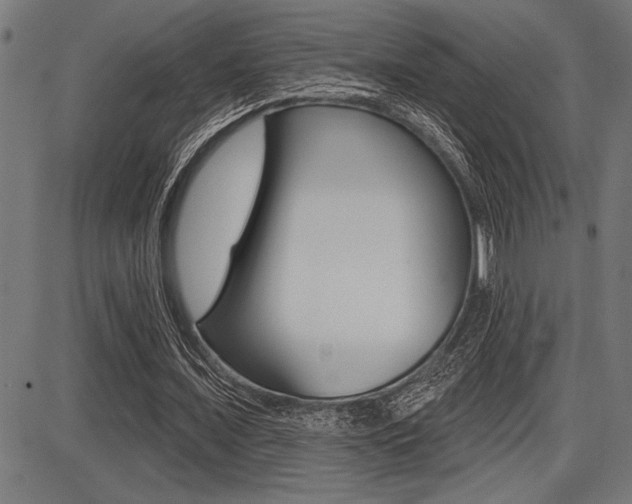 X0000087700675200705040852