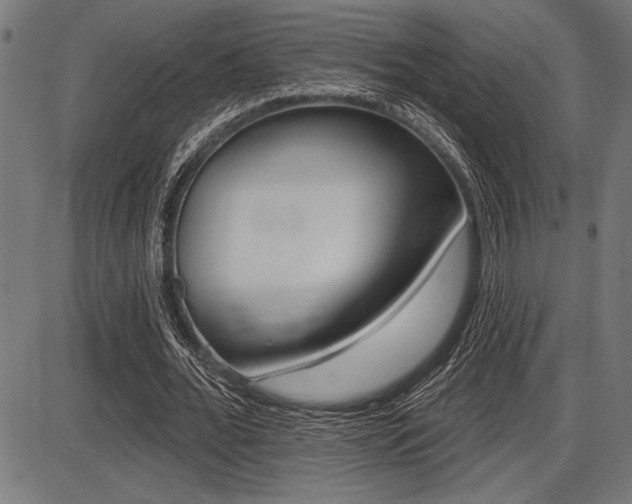 X0000087700676200705040852
