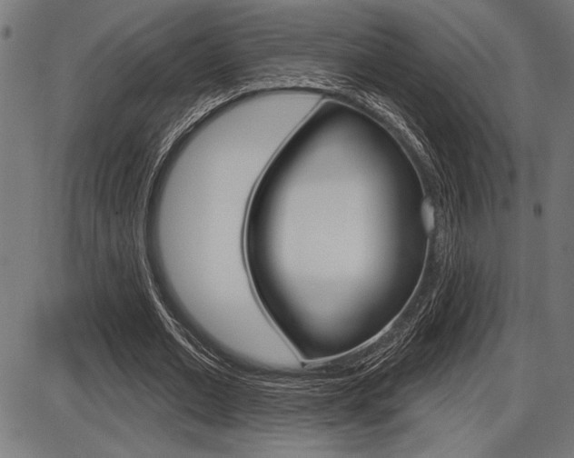X0000087700677200705040852