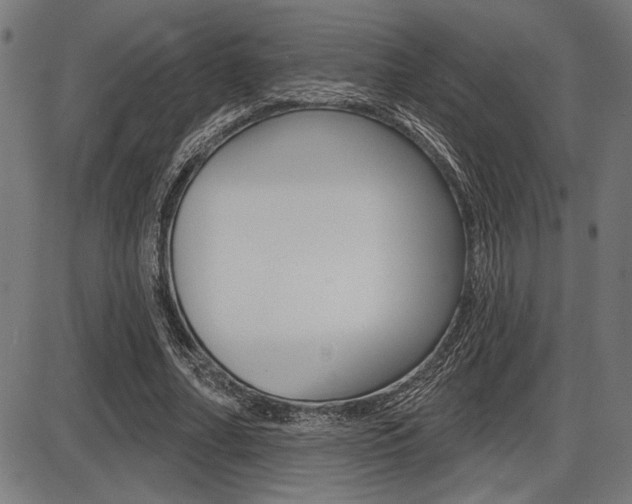 X0000087700682200705040852