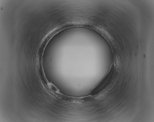 X0000087700684200705040852