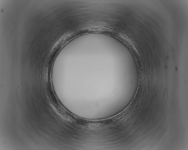 X0000087700686200705040852