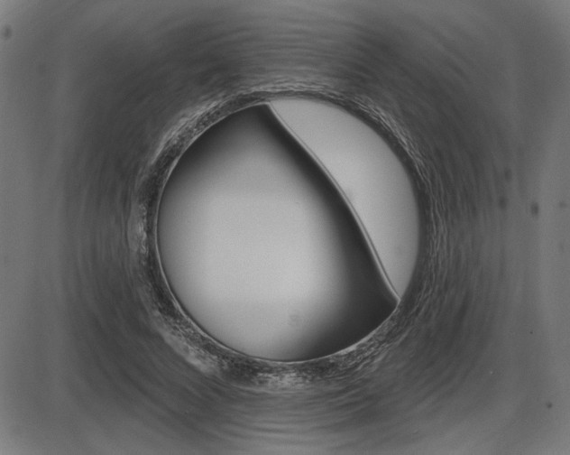 X0000087700688200705040852