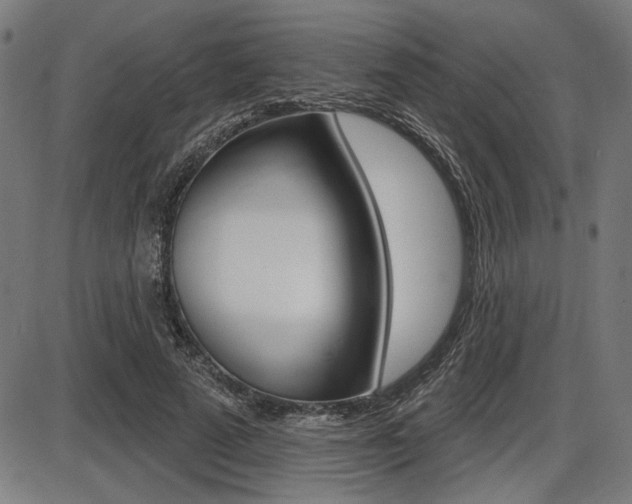 X0000087700689200705040851