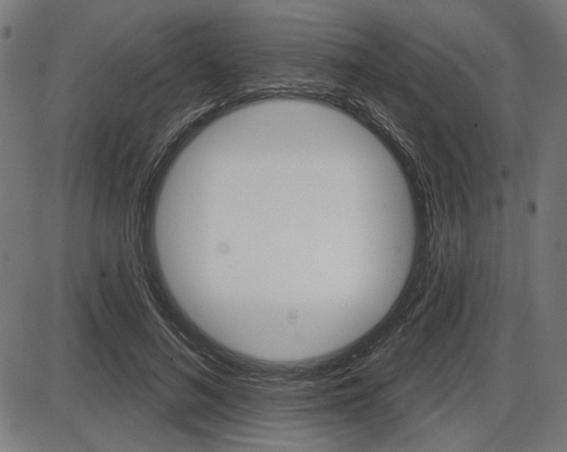 X0000087700692200705040851