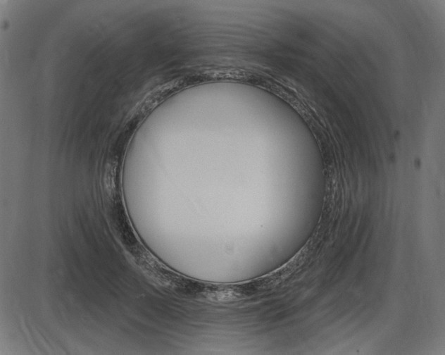 X0000087700695200705040851