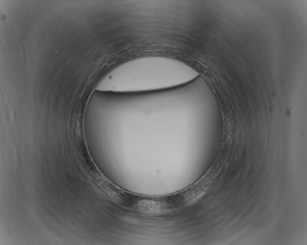 X0000087700699200705040851