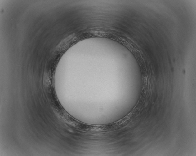 X0000087700702200705040851
