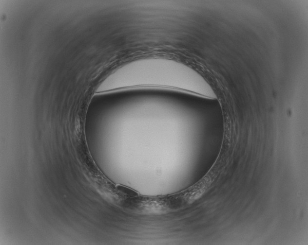 X0000087700704200705040851