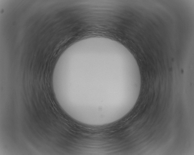 X0000087700705200705040851