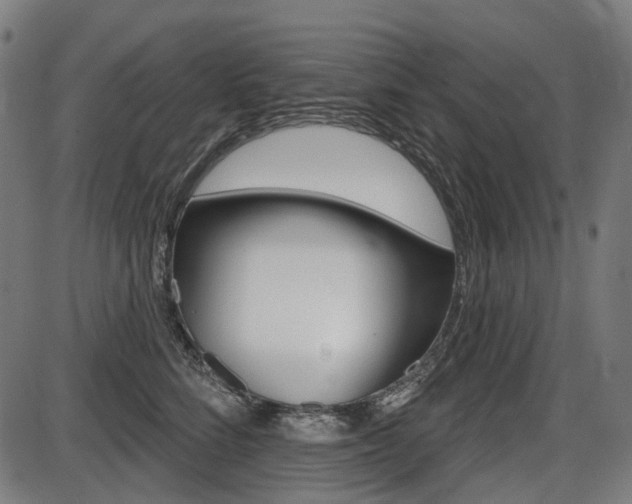 X0000087700712200705040851