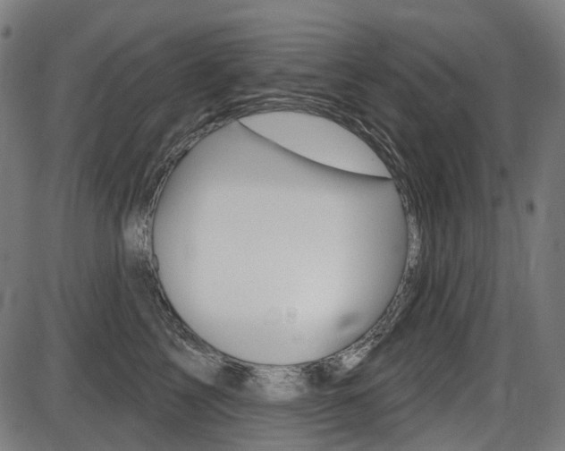 X0000087700713200705040851