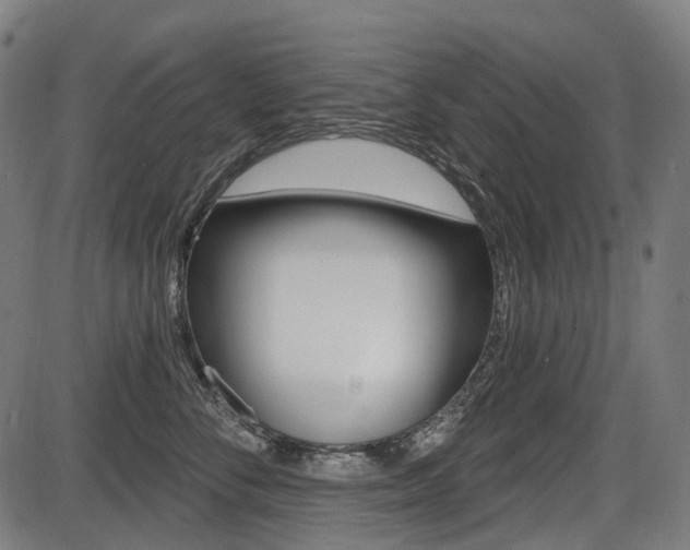 X0000087700716200705040851