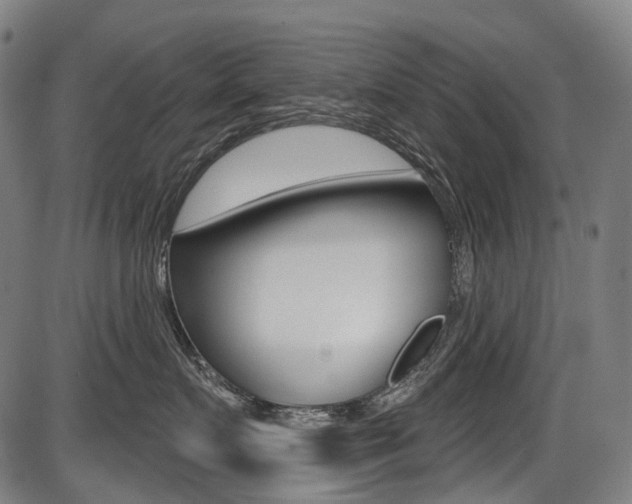 X0000087700719200705040851