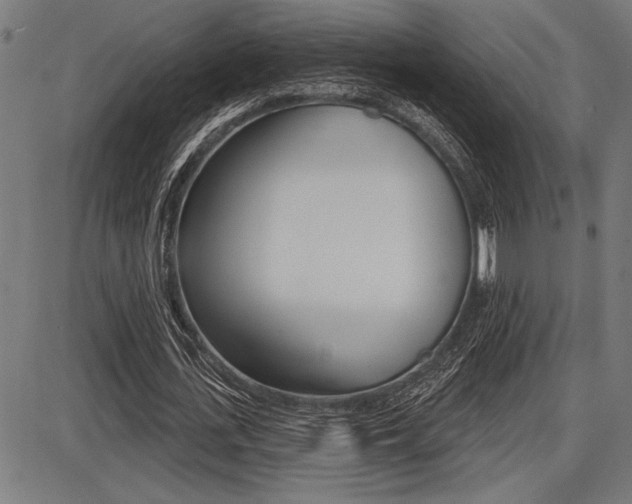 X0000087700723200705040850