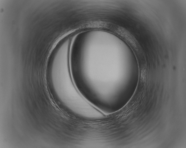 X0000087700724200705040850