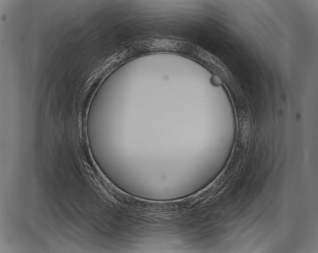 X0000087700729200705040850