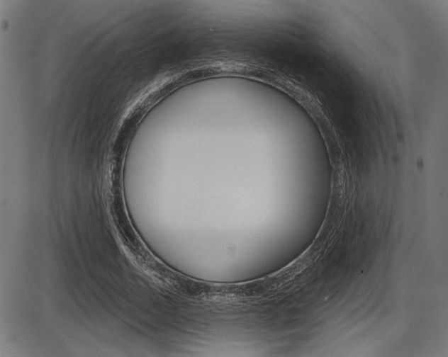 X0000087700730200705040850