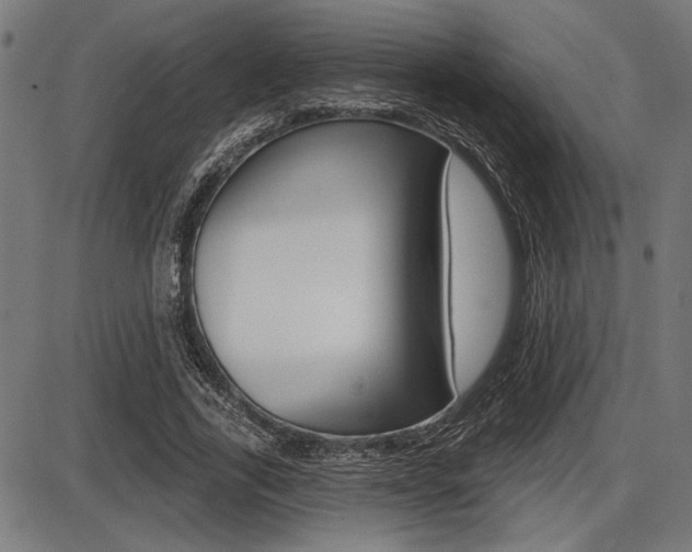 X0000087700731200705040850